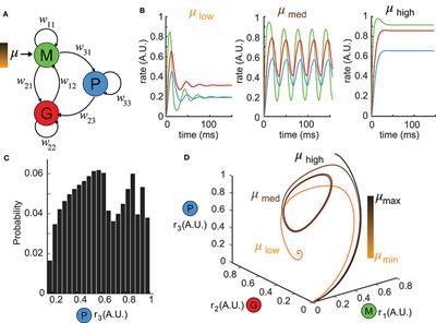 Top-Down Control of Inhibitory Granule Cells in the Main Olfactory Bulb Reshapes Neural Dynamics Giving Rise to a Diversity of Computations